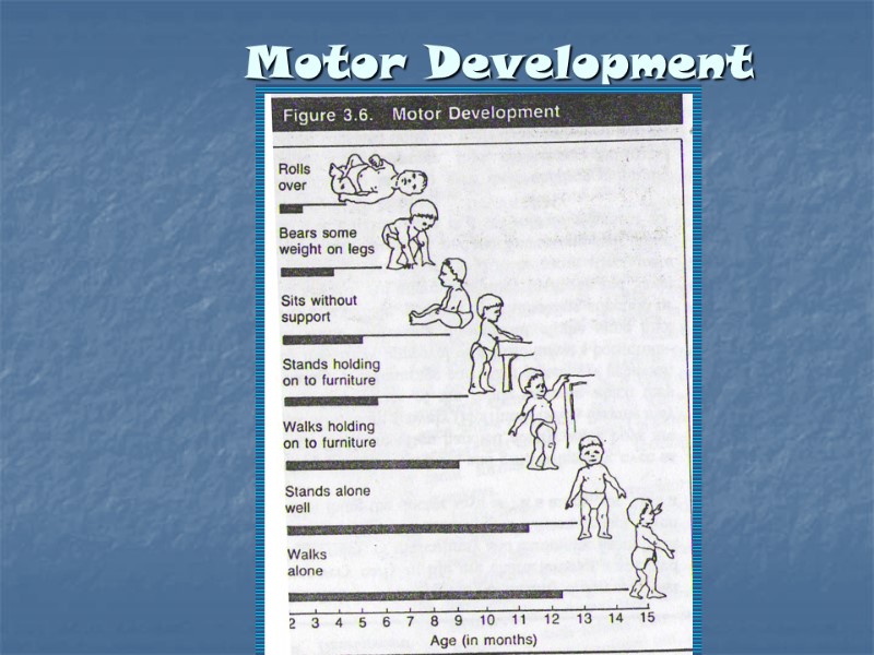 Motor Development in Infancy